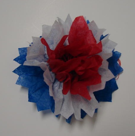 Fourth oif July Flower Craft