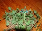 Plant Stake Stars Craft for Sunday School childrens church christmas crafts